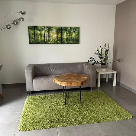 Gemuetliches Apartment Nahe Porsche Вайссах Екстер'єр фото