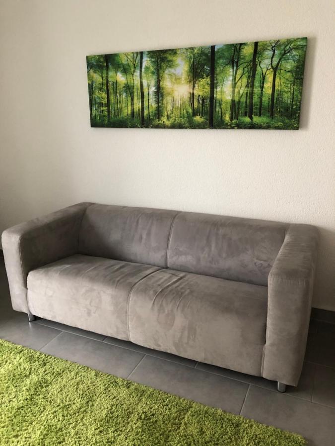 Gemuetliches Apartment Nahe Porsche Вайссах Екстер'єр фото